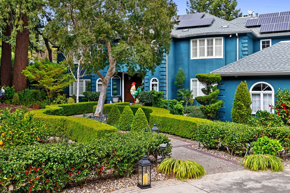 San-Jose-Tree-Services-Homepage-10 San-Jose-Tree-Services-Homepage-10