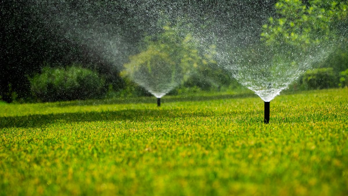 Landscape maintenance and lawn care in San Jose and the South Bay
