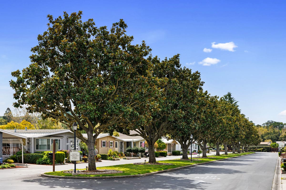 San-Jose-Tree-Services-Homepage-9 San-Jose-Tree-Services-Homepage-9