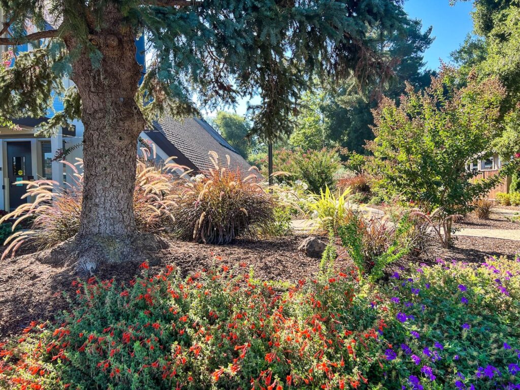 Why 2026 Will Redefine Landscape Installation As New Water Rules Take Effect