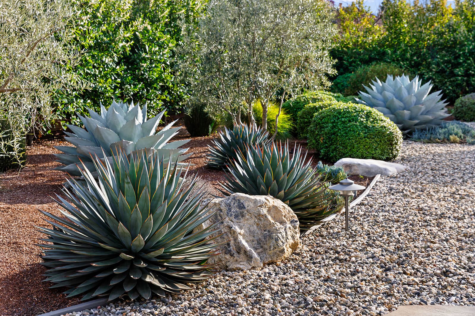 Almaden Valley front yard landscape construction project photo