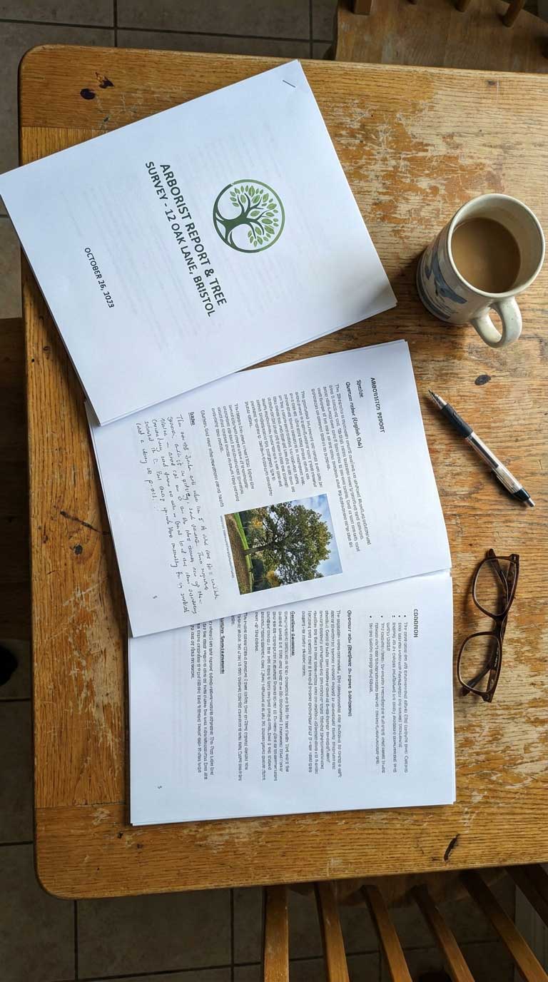 Arborist Robert Apolinar preparing a tree preservation report in San Jose