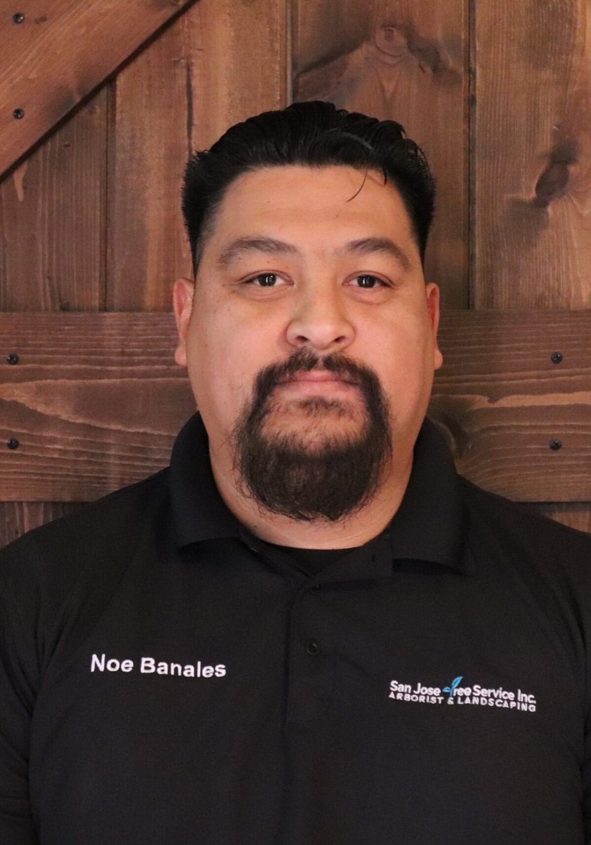 Noe — Field Operations