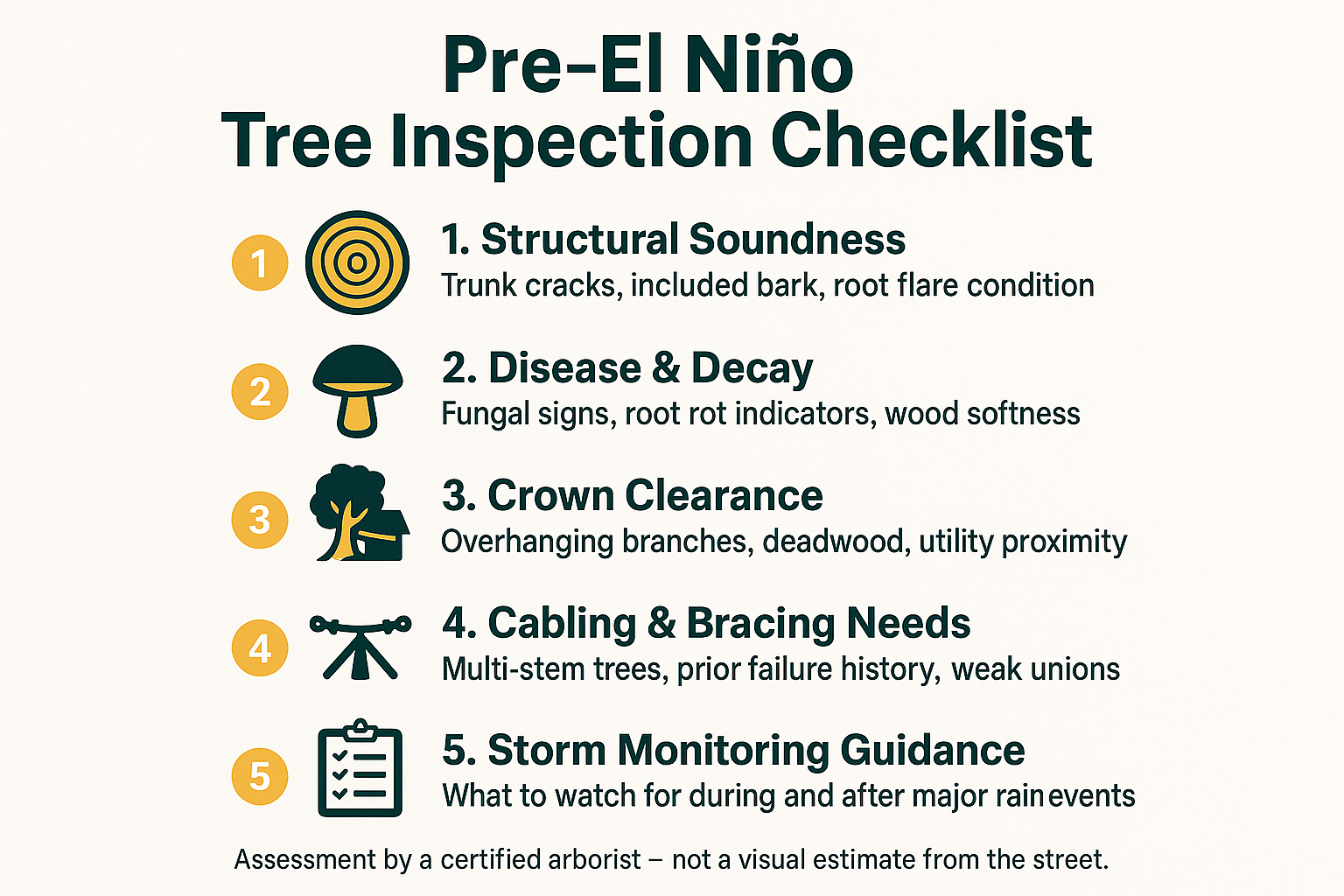 5 Questions to Ask an Arborist Before El Niño Season Hits Silicon Valley