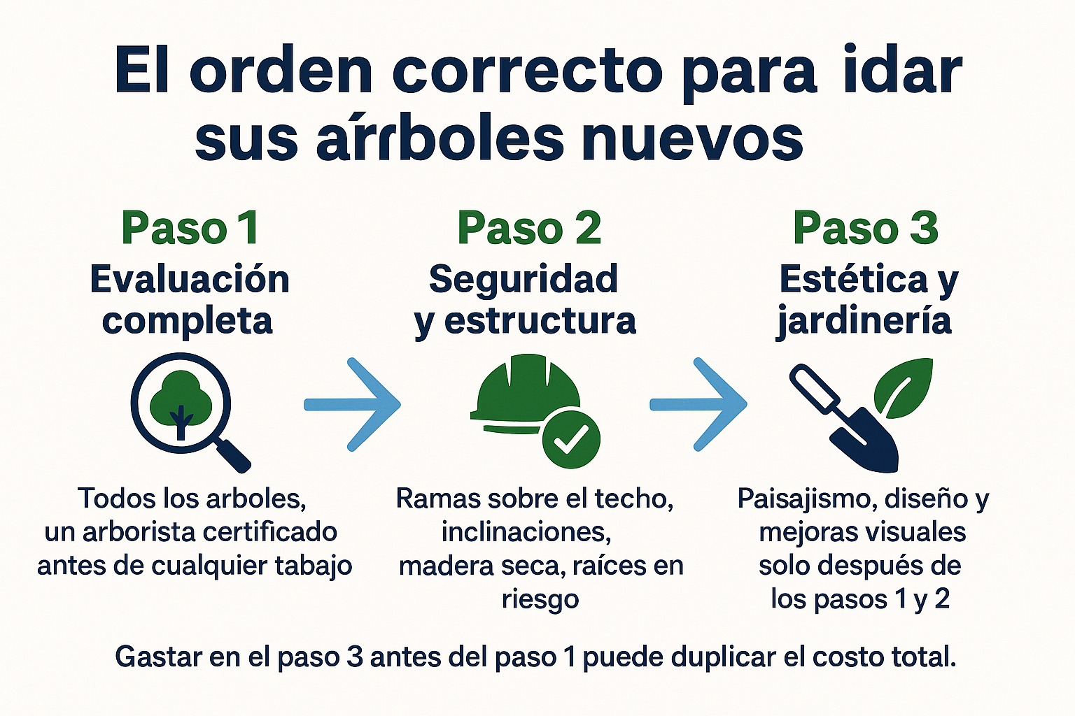 Infographic que muestra los 3 pasos en orden para el cuidado de árboles en una casa nueva: evaluación, seguridad y estética
