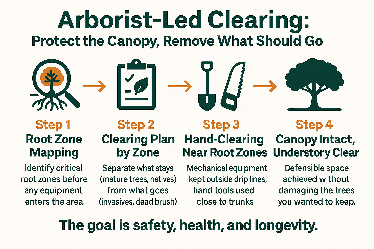 When a Property Needs More Than Weed Pulling, Land Clearing Explained