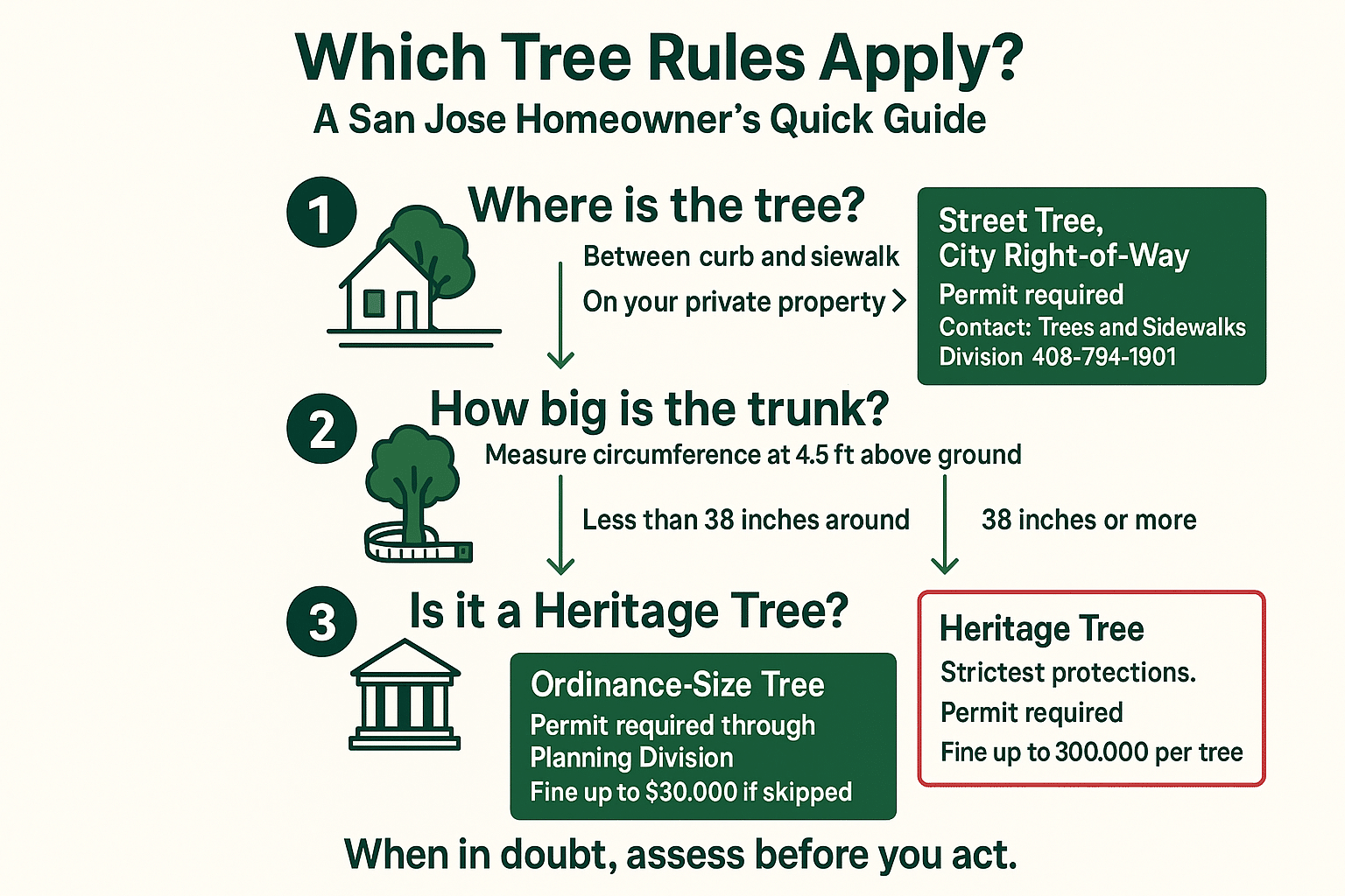 Infographic decision flow showing which San Jose tree permit rules apply based on tree location and size