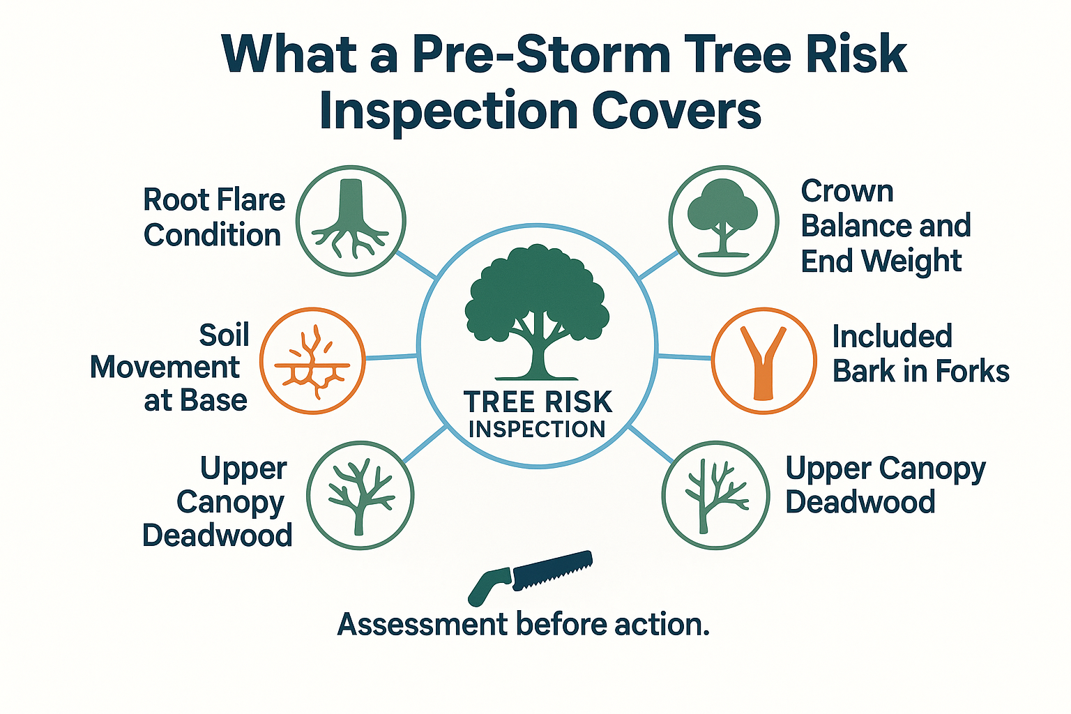 Infographic showing the six items a pre-storm tree risk inspection checks, from root flare to pruning history