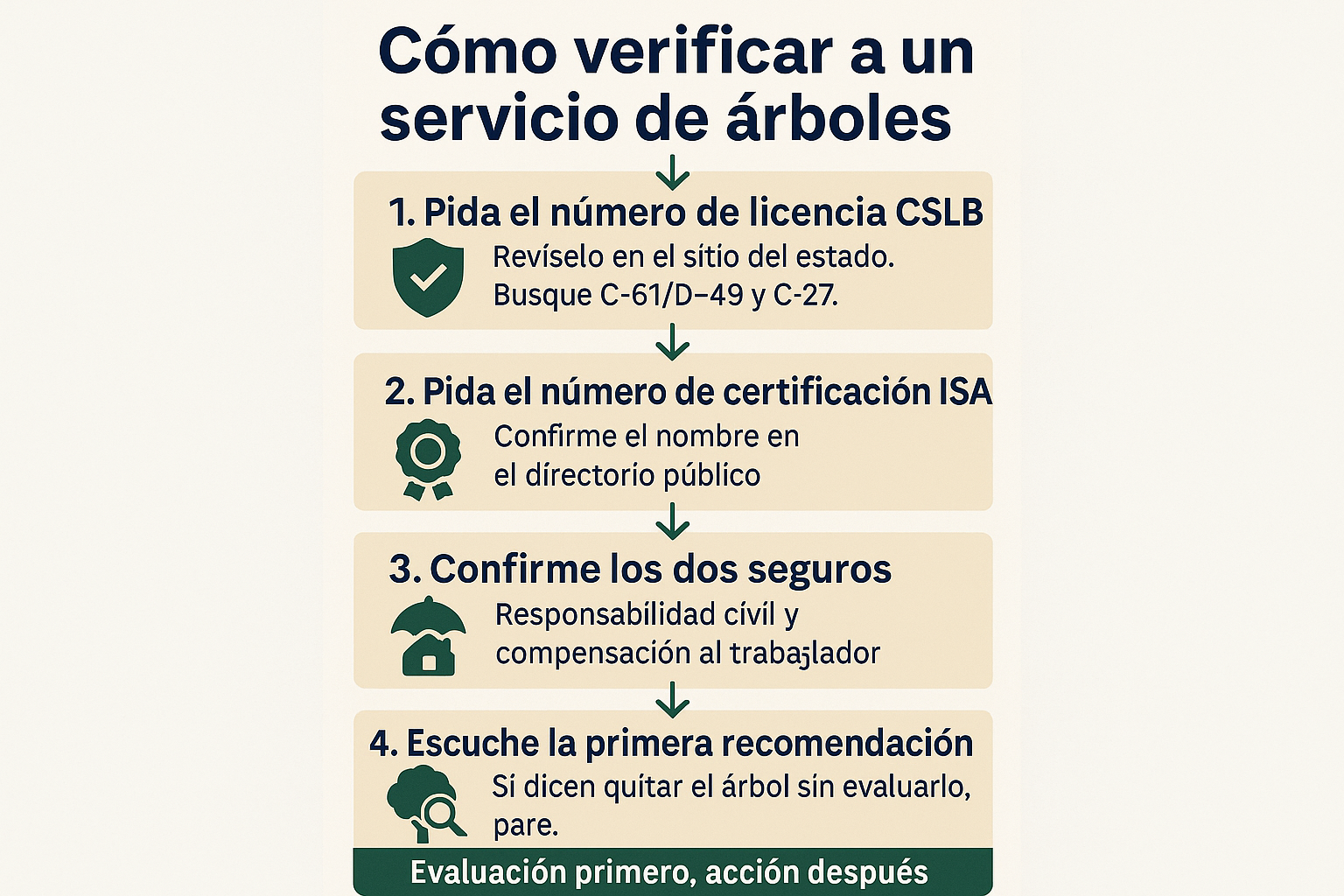 Infografía con cuatro pasos para verificar licencia CSLB, certificación ISA y seguros de un servicio de árboles