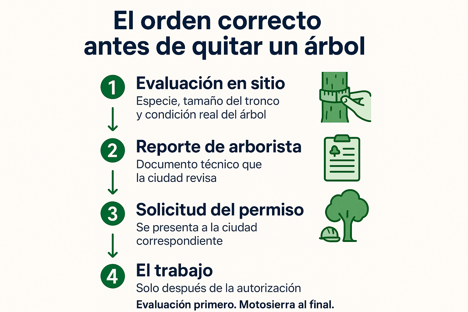 Infografía con los cuatro pasos antes de quitar un árbol en San José, de la evaluación al trabajo