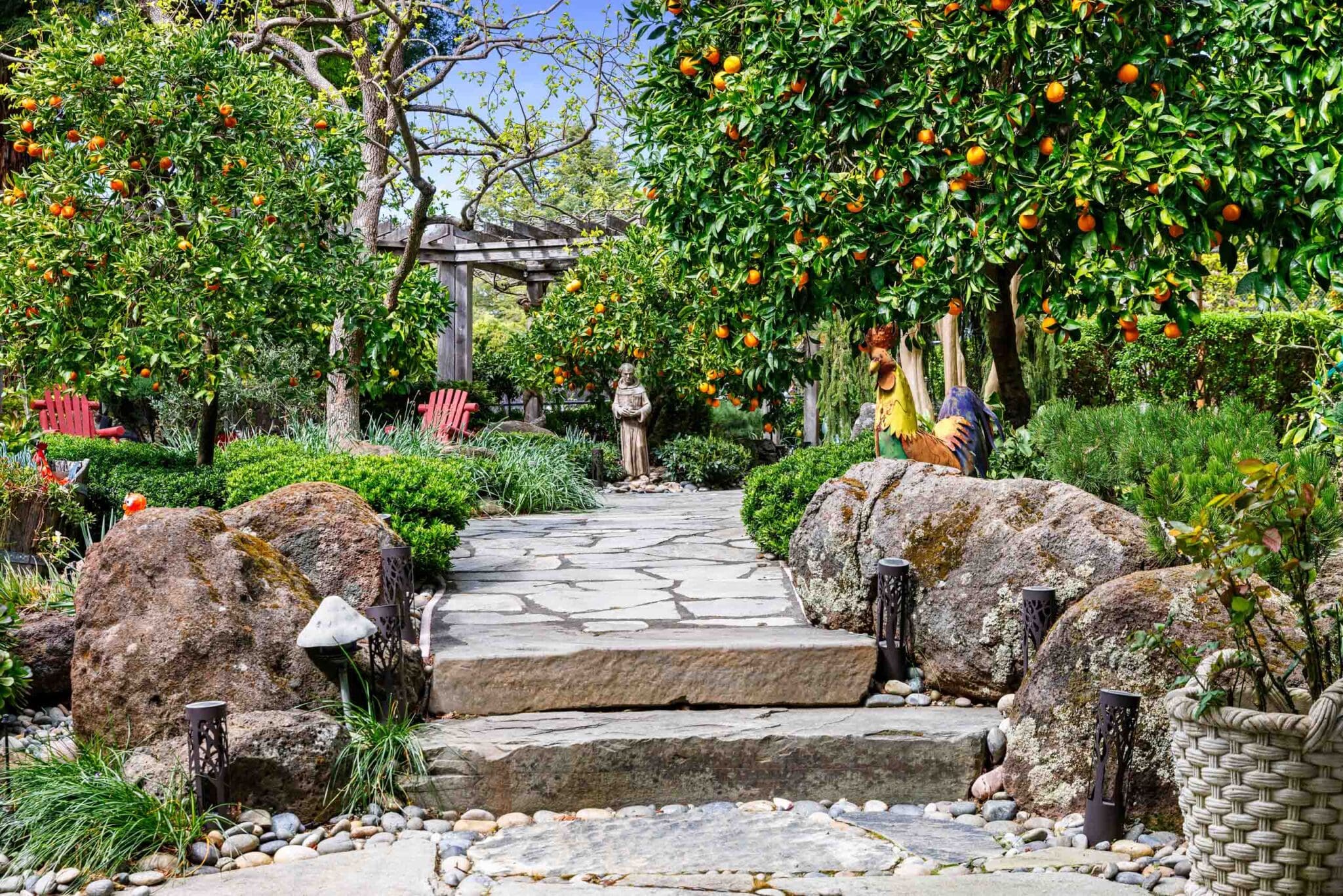 Mature citrus trees laden with orange fruit line a garden pathway with boulders and pergola structure.