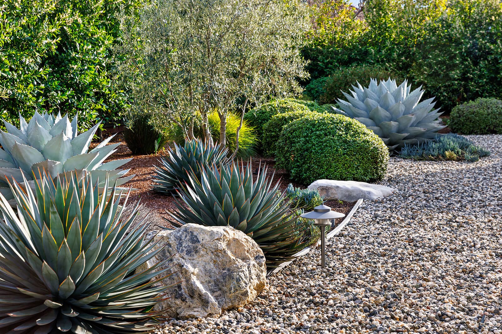 Dry climate landscape with large agave plants, ornamental grasses, and gravel ground cover demonstrating xeriscaping techniques.