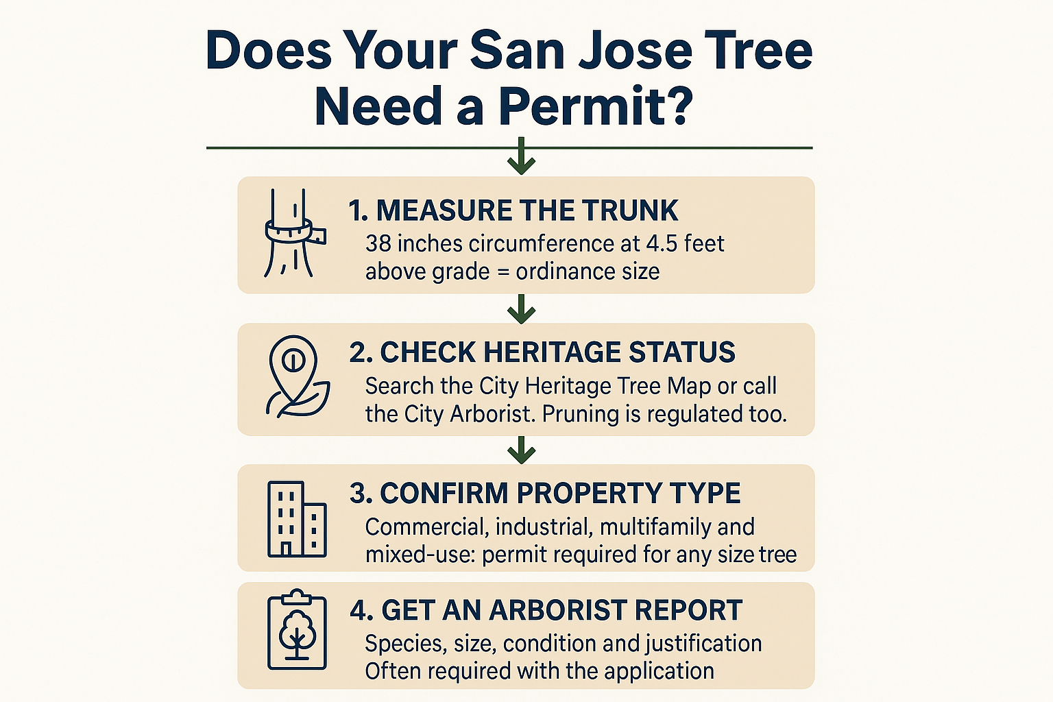 Infographic showing four steps to determine whether a San Jose tree requires a removal permit