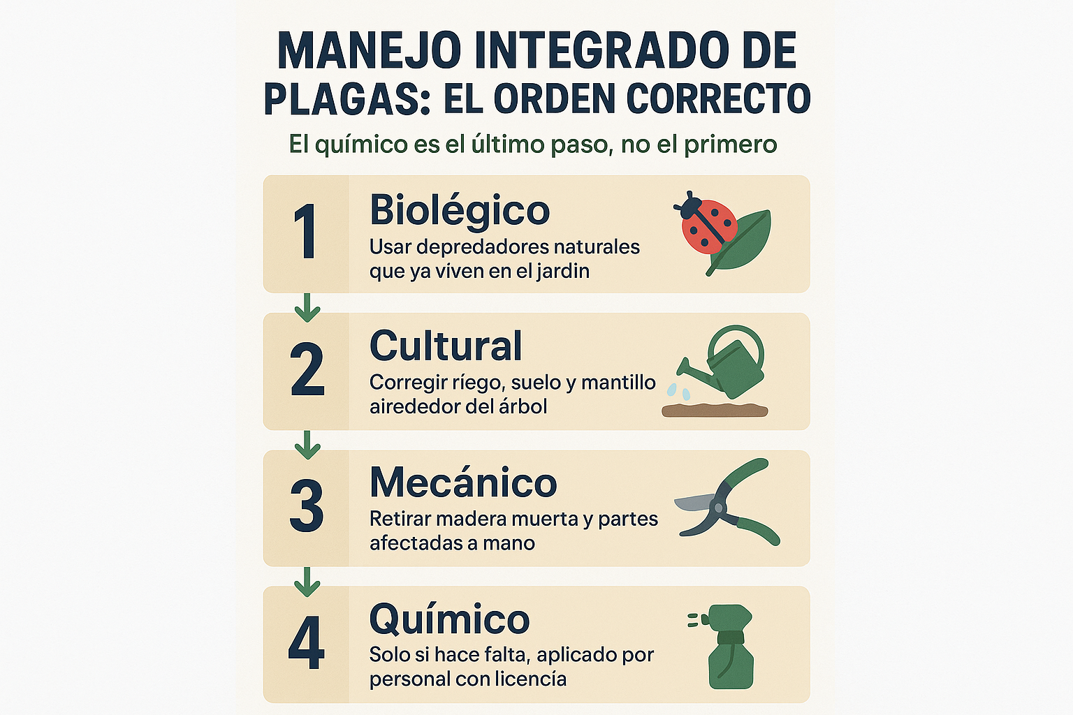 Infografía de los cuatro pasos del manejo integrado de plagas: biológico, cultural, mecánico y químico