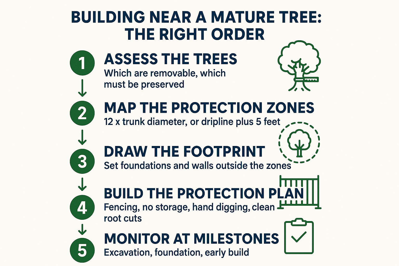 Infographic showing the five-step order for assessing trees, mapping protection zones, and designing an ADU footprint