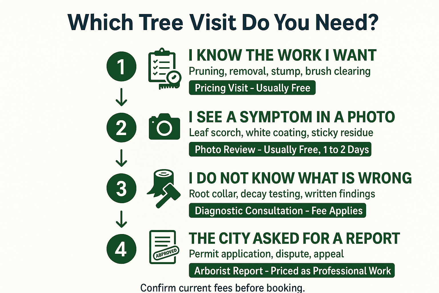 Infographic showing when a San Jose tree visit is free versus when a diagnostic or report fee applies