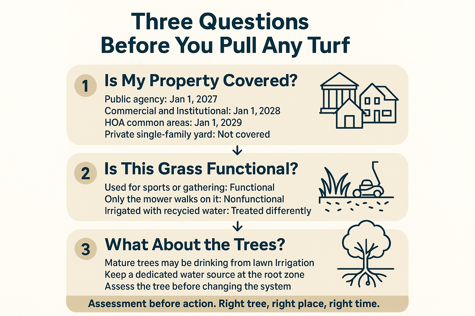 Infographic showing turf ban phase-in dates, the functional turf test, and tree watering steps