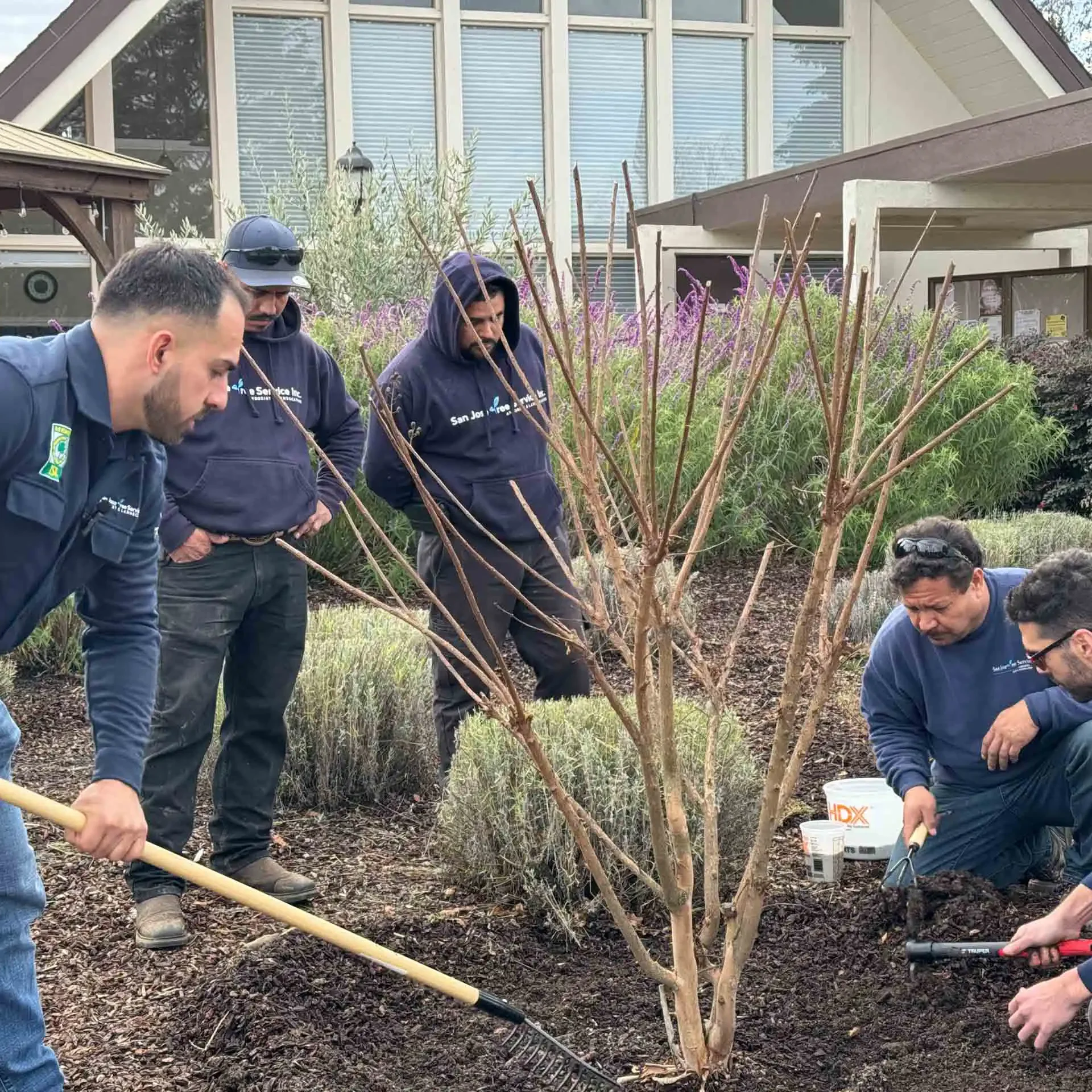 San Jose, CA Landscaping Companies