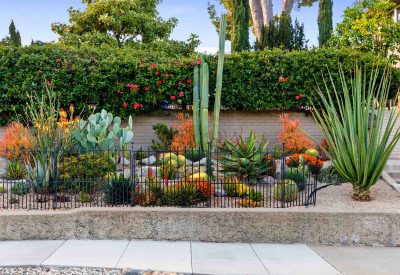 SanJoseTreeServiceInc_0002_