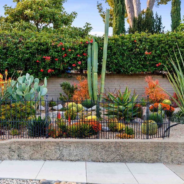 SanJoseTreeServiceInc_0002_