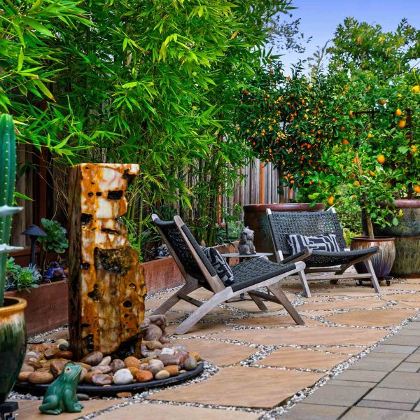 SanJoseTreeServiceInc_0044_