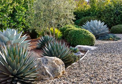 SanJoseTreeServiceInc_0054_