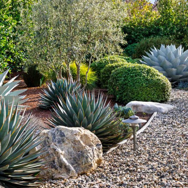 SanJoseTreeServiceInc_0054_